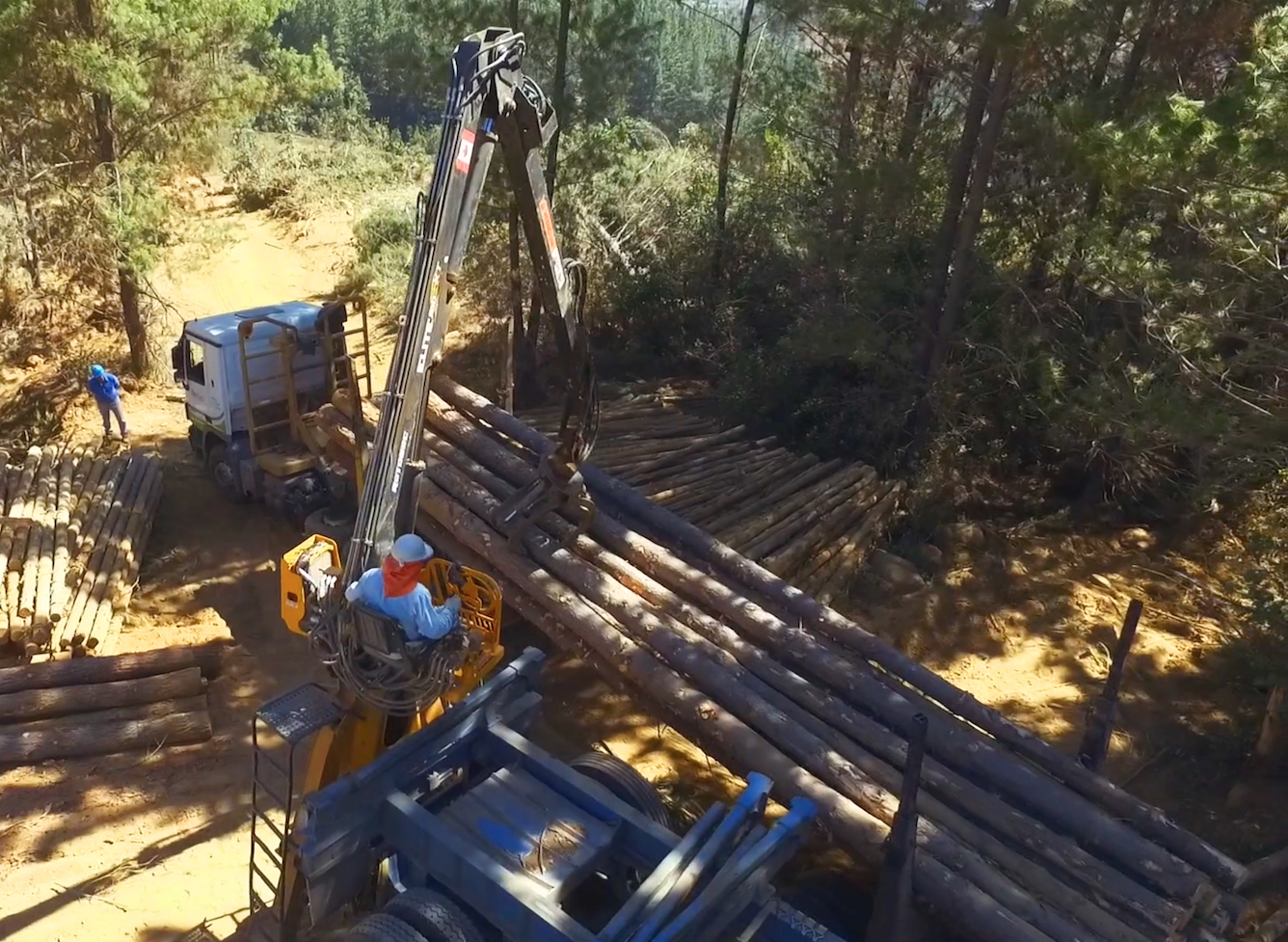 entrega oportuna de madera impregnada